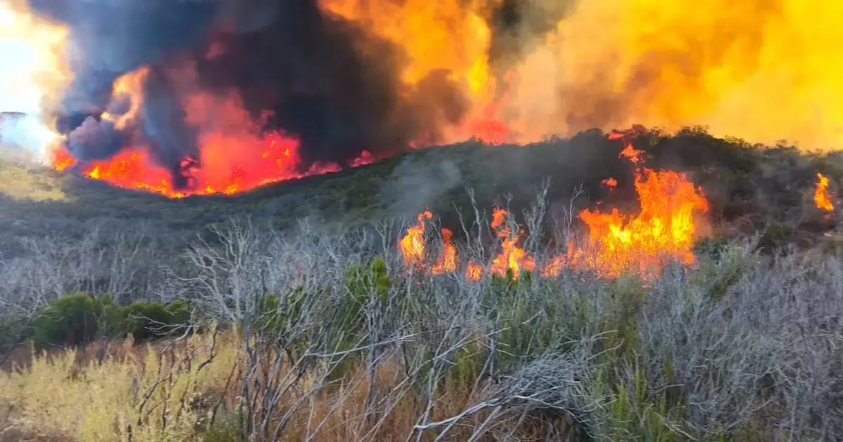 Un incendio en el Rancho Los Gavilanes ha activado brigadas forestales para combatir las llamas y proteger la zona.