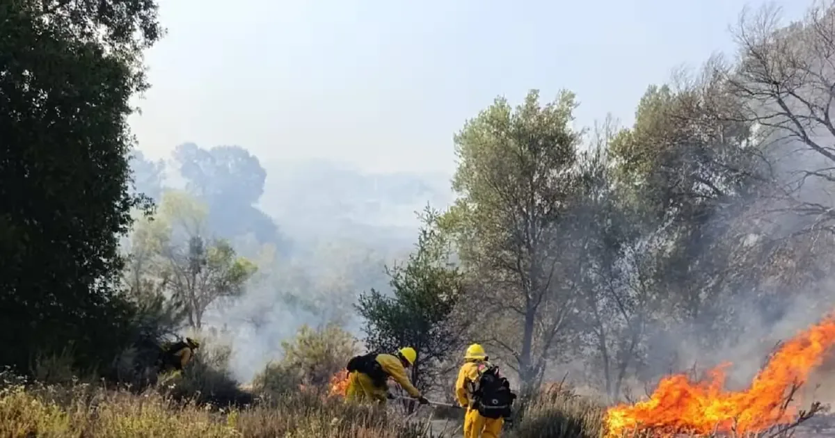 Un incendio en Ojos Negros, Ensenada, sigue activo con esfuerzos de control en marcha.
