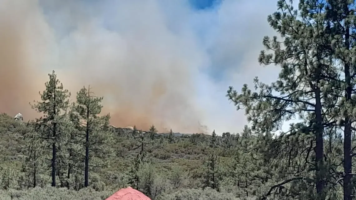 La Dirección de Bomberos de Ensenada trabaja para controlar el siniestro que empezó el 29 de junio.