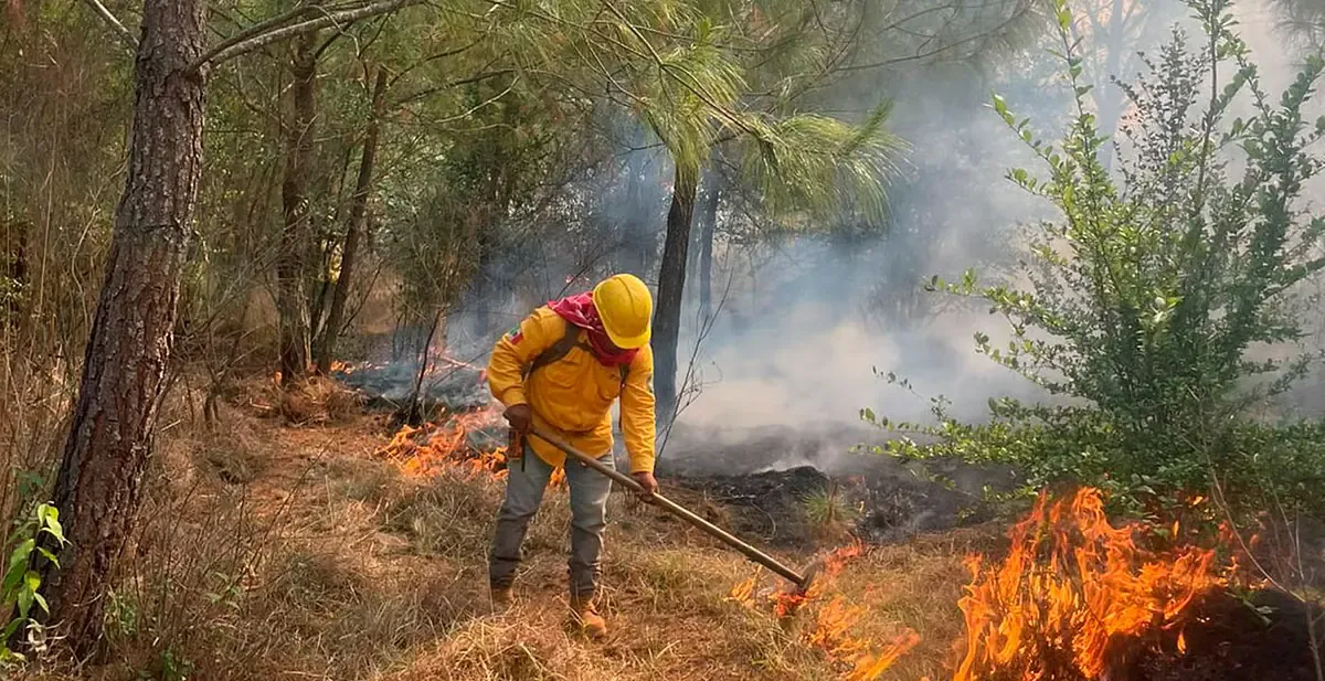 Las autoridades trabajan intensamente para extinguir el fuego en Michoacán, mientras recomiendan precaución a la población.
