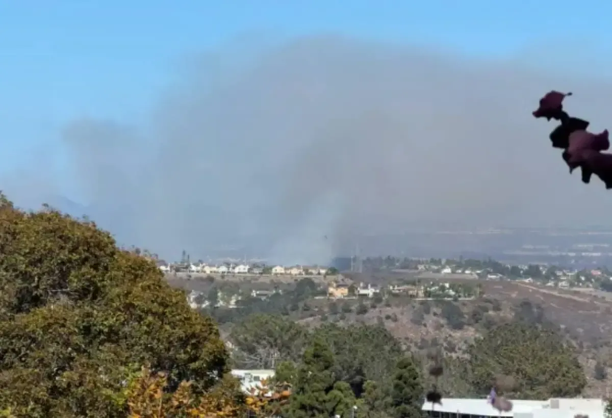 Un incendio forestal en la tarde del domingo en San Diego ha llevado a la detención de un sospechoso por posible incendio provocado.