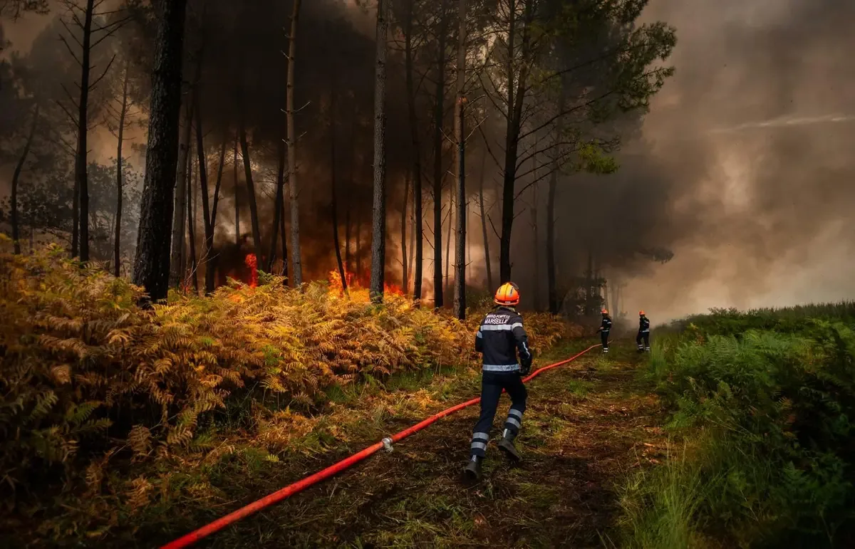 Los incendios forestales reactivados y nuevos focos en Grecia exigen evacuaciones urgentes y respuestas de las autoridades.