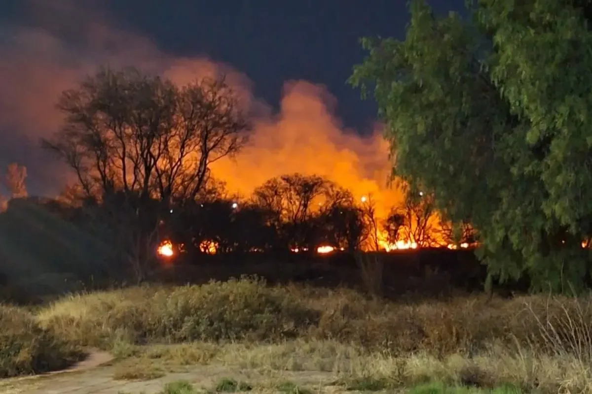Incendios en La Pona arrasan con más de 8,600 metros cuadrados de bosque.