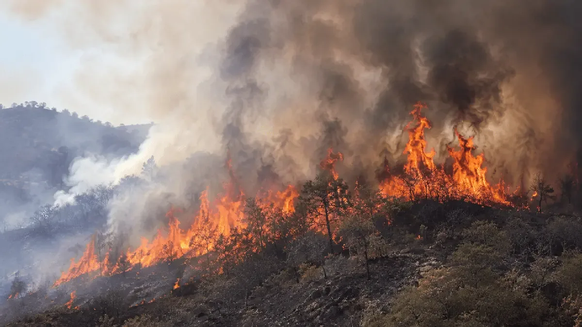 Más de 200 mil hectáreas se han visto afectadas por incendios en 2026, con Jalisco y Guerrero como principales focos.