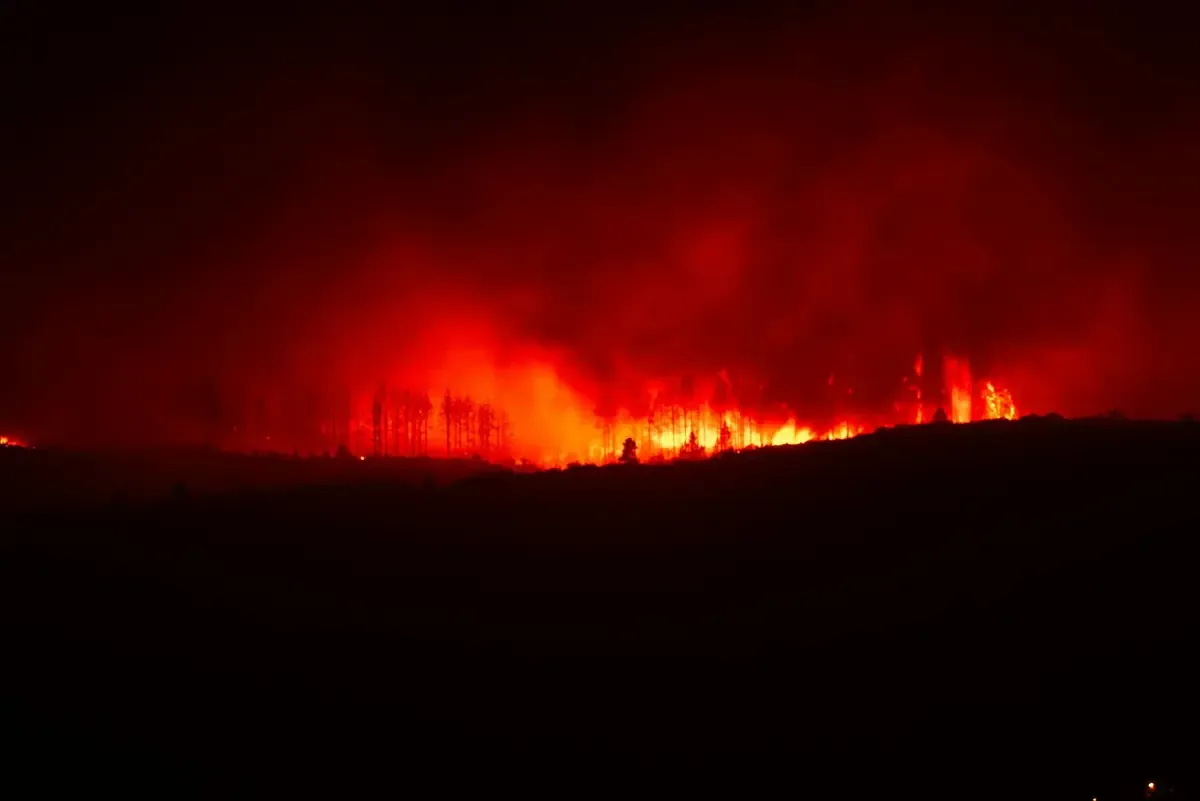 Un estudio revela el efecto devastador de los incendios en regiones prósperas y su relación con el cambio climático.