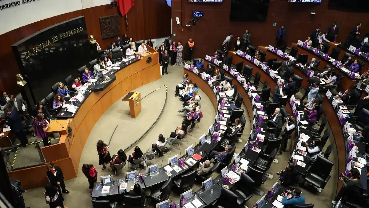 La nueva causal de nulidad podría afectar el voto informado en México.