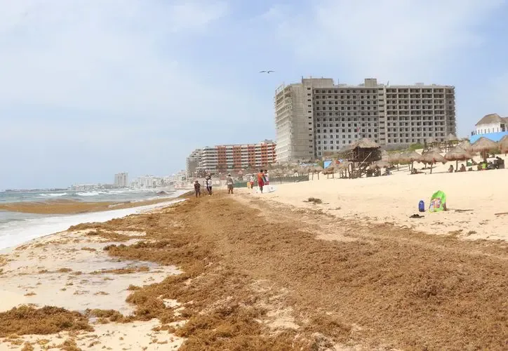 Incremento de sargazo en Cancún no representa un fenómeno atípico.