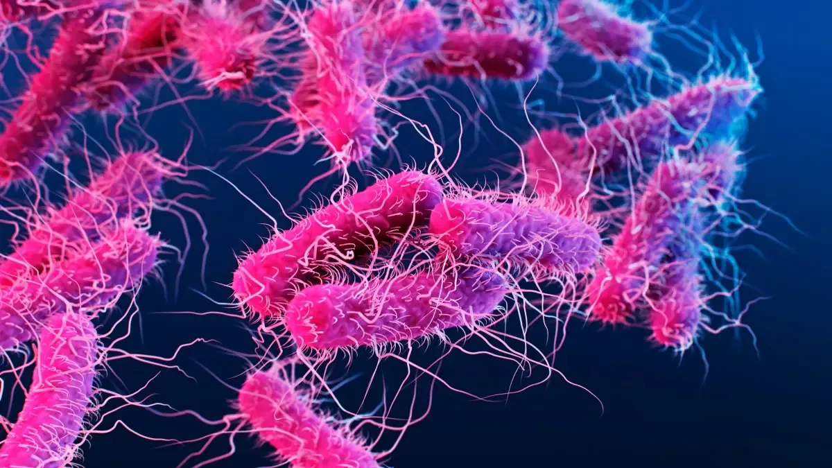 Un brote de ciclosporiasis afecta a decenas de estados, alertando a autoridades de salud.