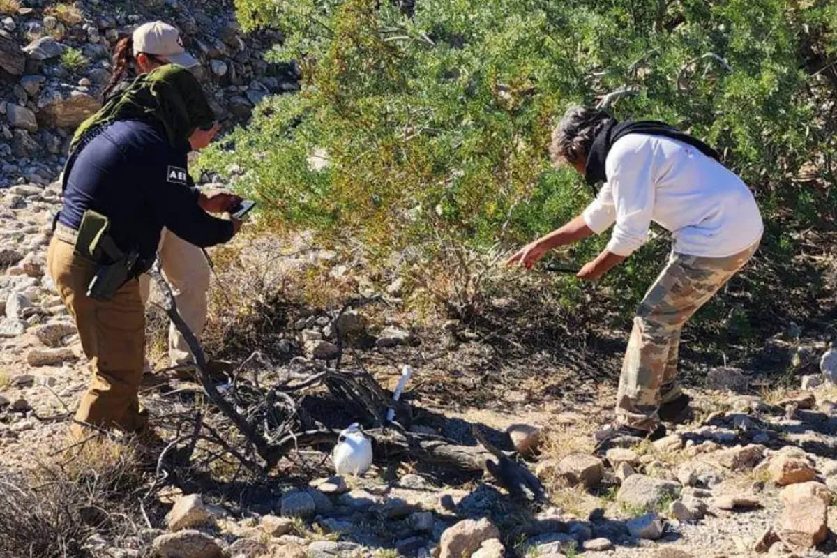 Ingresan autoridades y grupos de búsqueda a la Reserva Miguel Alemán en Mexicali.