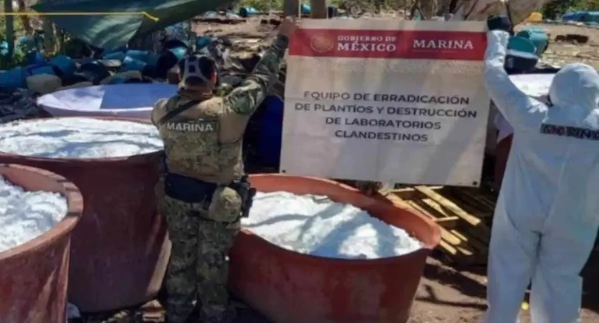 La intervención de la Marina afectará financieramente a las organizaciones delictivas.