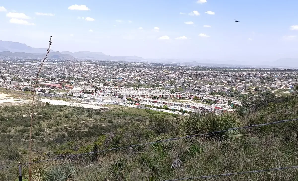 La interrelación entre constructores y funcionarios afecta el crecimiento urbano y la regulación en Saltillo.