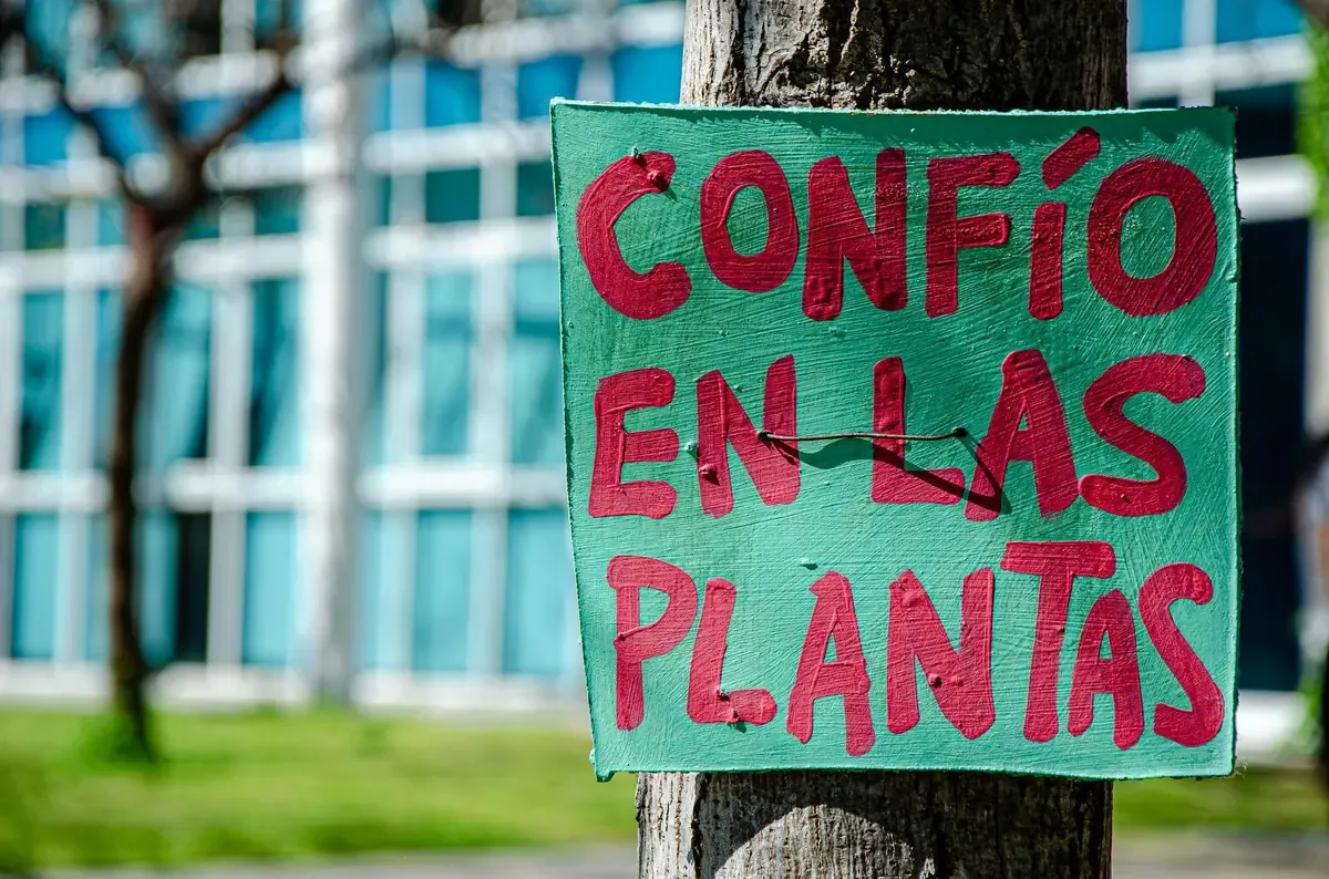La ciudad enfrenta niveles históricos de violencia que afectan su desarrollo.