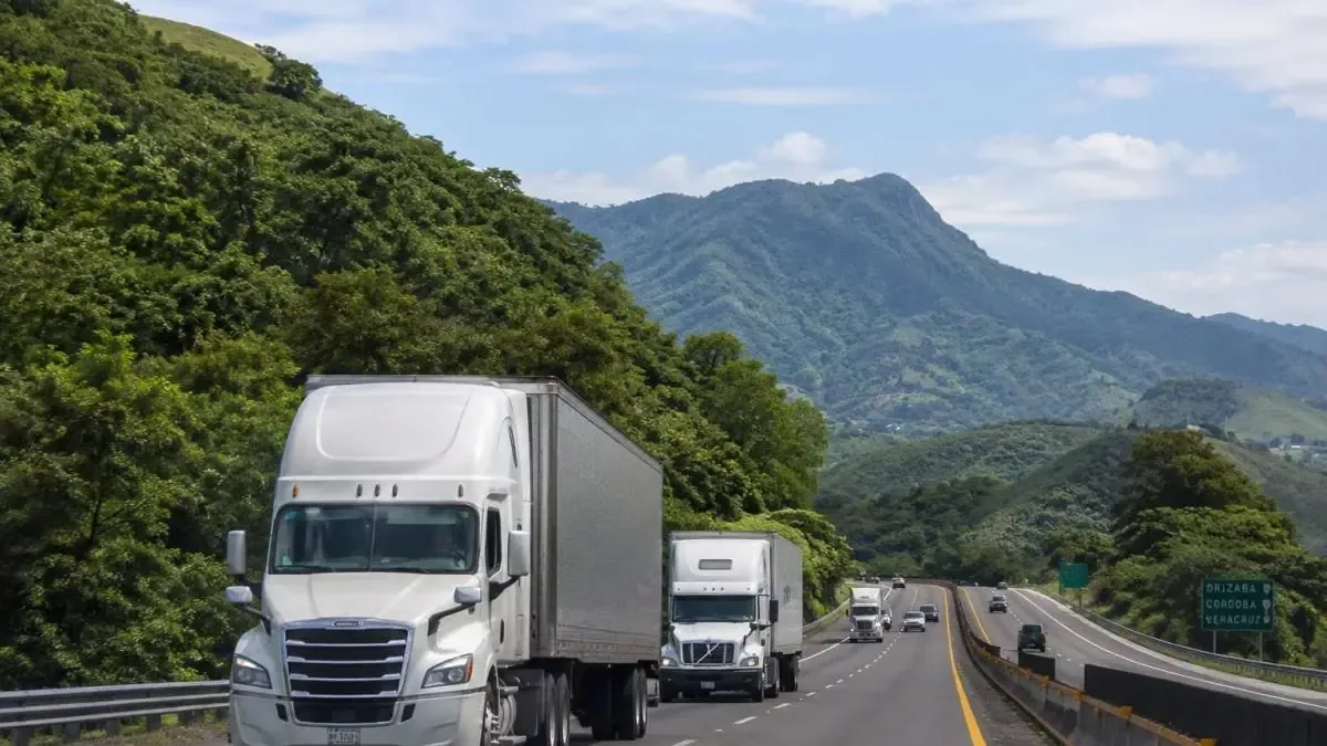 La inseguridad carretera afecta gravemente a los transportistas en Veracruz, causando temor y pérdidas económicas.