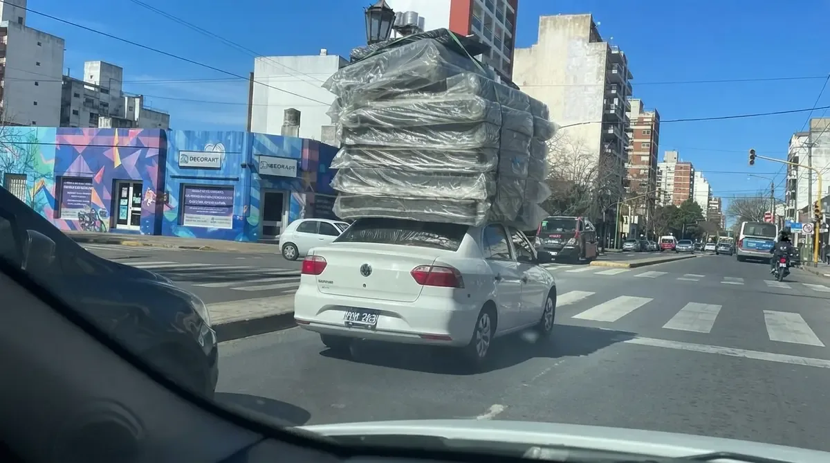 Un insólito episodio en pleno centro genera preocupación por la seguridad vial en La Plata.