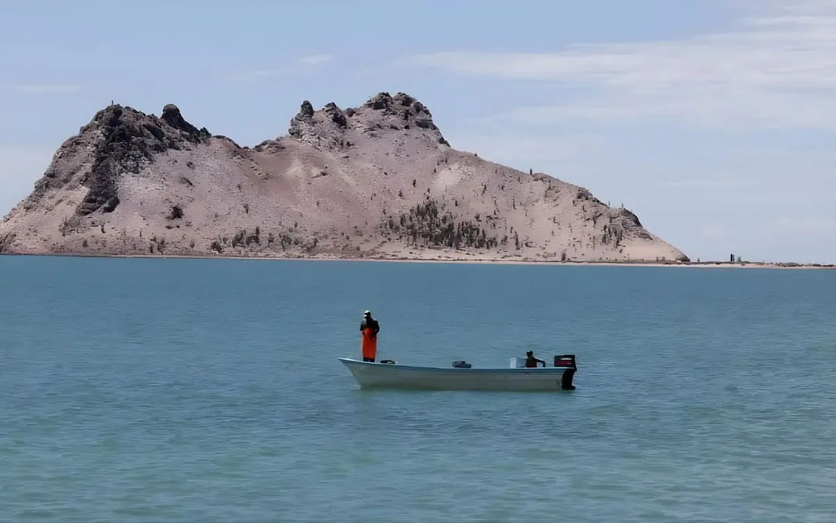 Inspección de pesca: irregularidades en multas impuestas por Conapesca