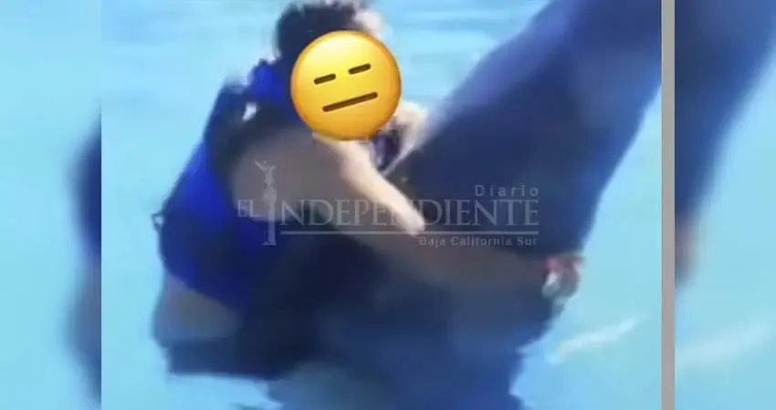 Inspección solicitada a Cabo Dolphin por prácticas ilegales con delfines.