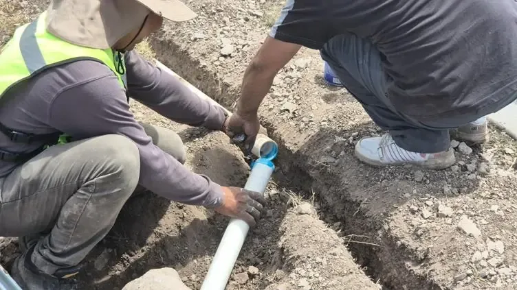 Mejora de infraestructura urbana con nuevas plantas y un sistema de riego eficiente.