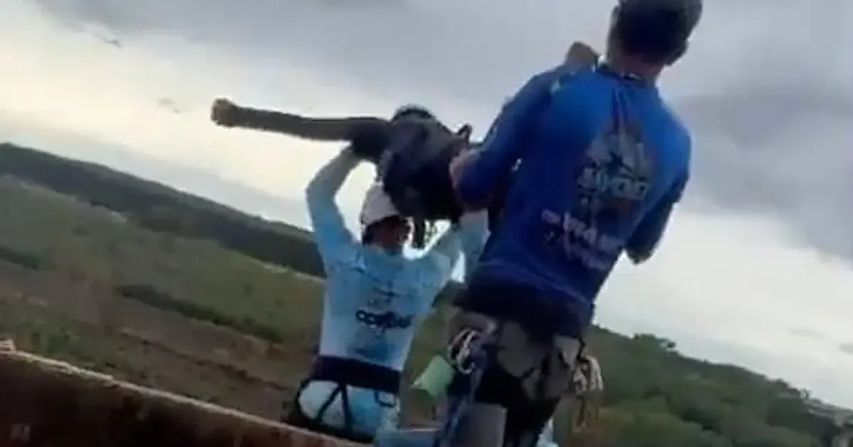 La trágica caída se debe a un posible error humano durante la actividad.