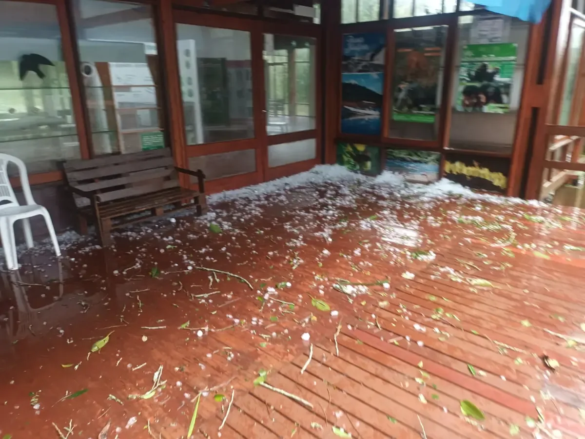 Las fuertes ráfagas y granizo generaron preocupación, pero no hubo heridos.