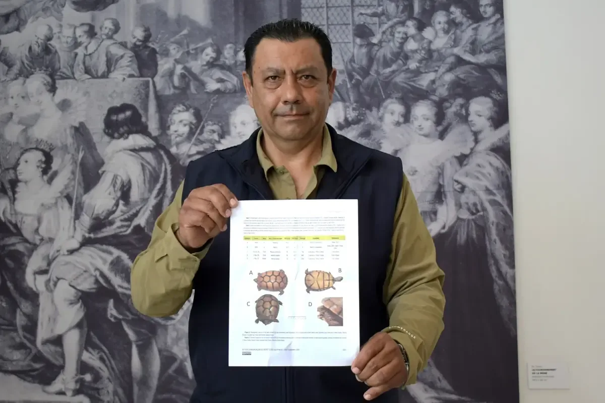 Este hallazgo enriquece la biodiversidad de Puebla y puede ayudar en planes de conservación.
