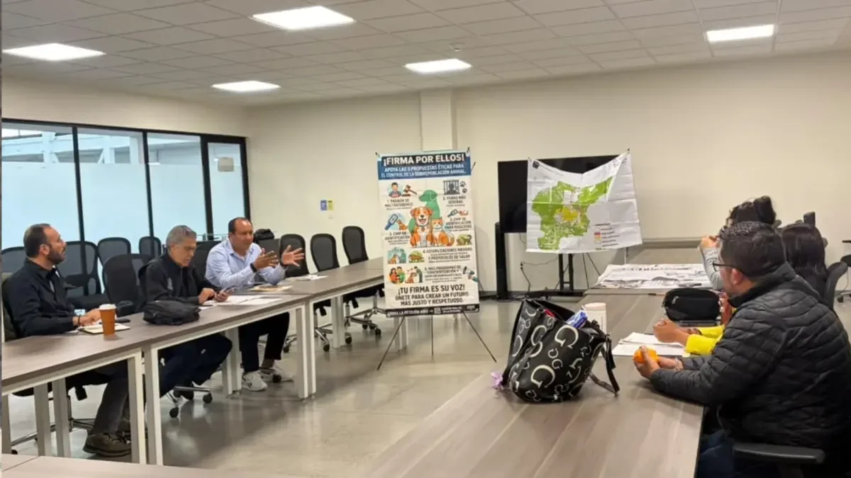 La colaboración busca mejorar la atención de animales en situación vulnerable en el municipio.
