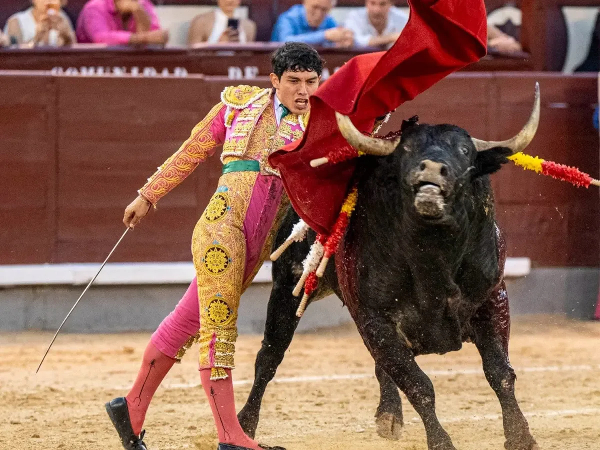 A pesar de una destacada actuación, el torero moreliano no logró cerrar su faena con éxito en Las Ventas.