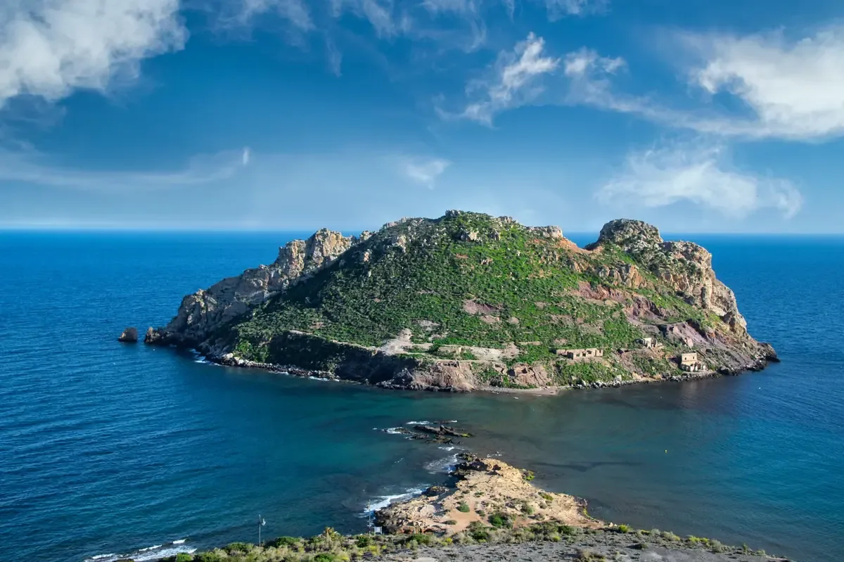 La eliminación de especies invasoras en Chañaral sienta un precedente para la conservación ecológica en islas.
