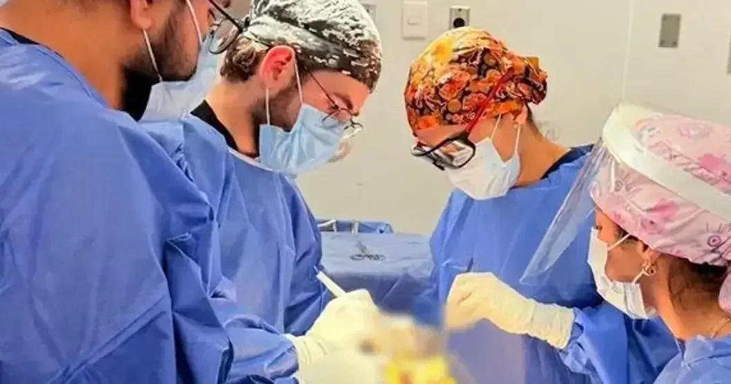 Una jornada quirúrgica en Torreón permite a derechohabientes recuperar calidad de vida tras cirugías exitosas.