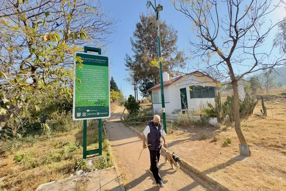 Iztapalapa inicia acciones para preservar uno de sus últimos pulmones verdes.