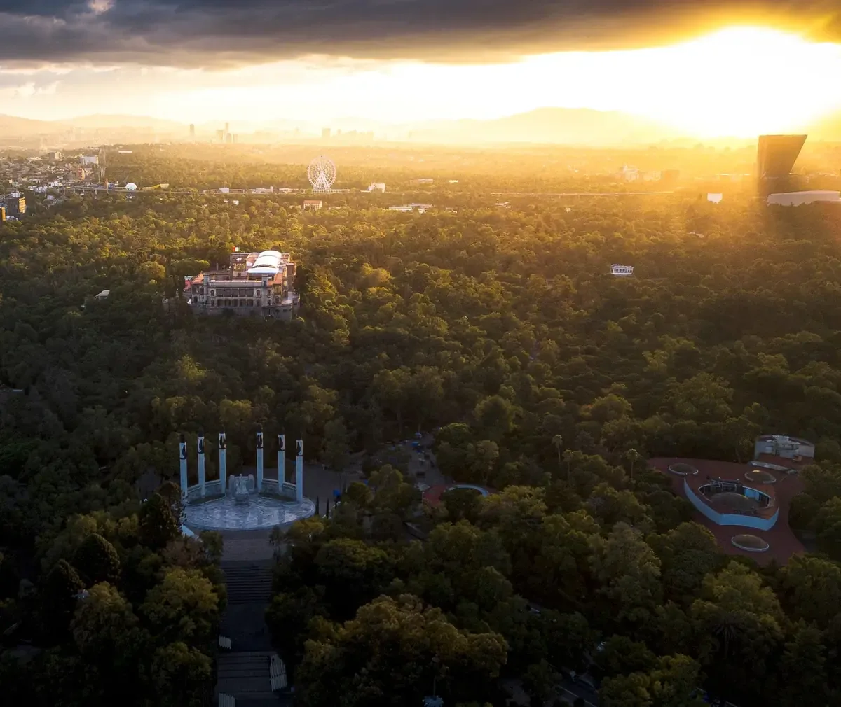 La reforestación en Jalisco prioriza el Bosque La Primavera, vital para la biodiversidad regional.