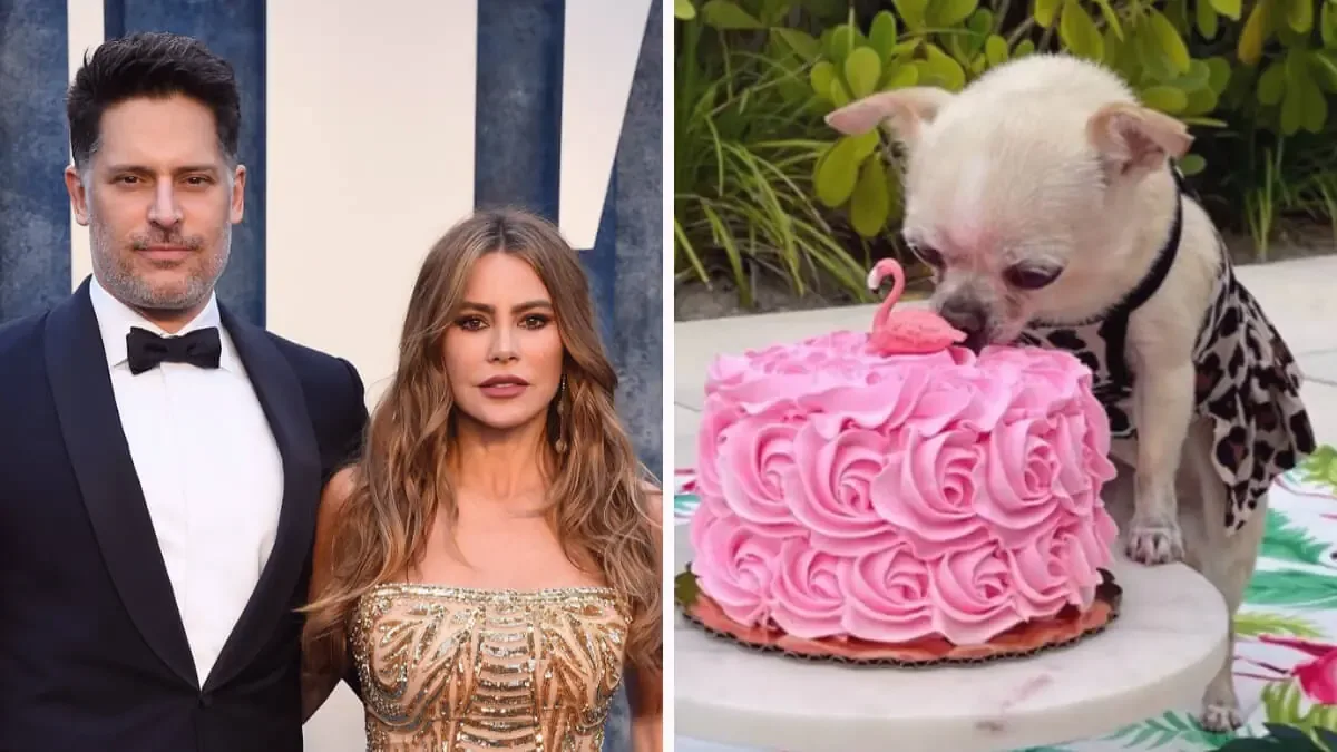 La relación de Joe Manganiello y Sofía Vergara se complica por un perro y problemas personales.