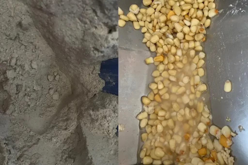 José Gómez, propietario de un molino tradicional en León, muestra su masa para tamales.