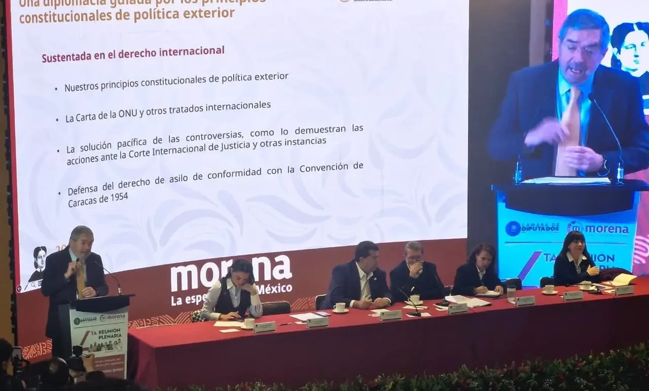 Juan Ramón de la Fuente durante su intervención en la plenaria de diputados de Morena.