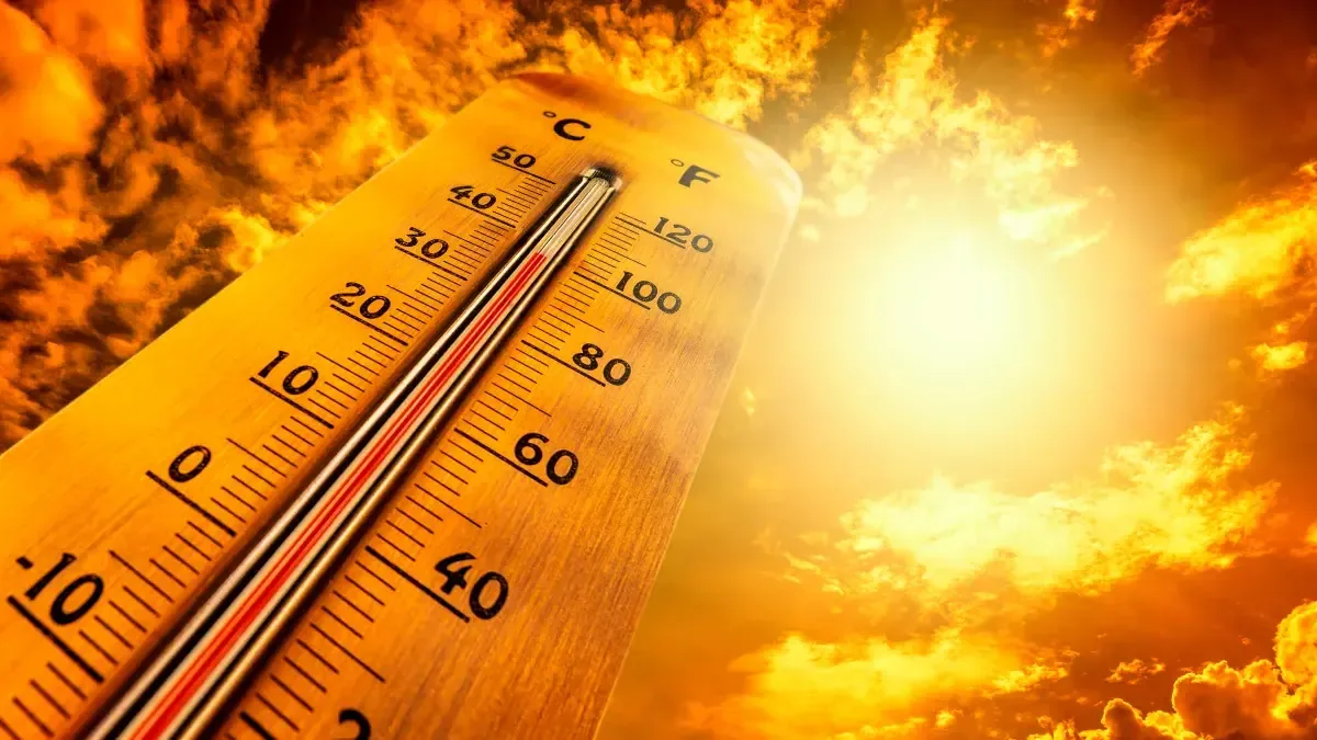 Un verano con temperaturas extremas eleva las alertas sobre el cambio climático y sus efectos.