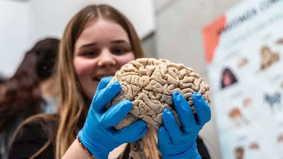 La actividad busca acercar la neurociencia a jóvenes interesados en la salud y la investigación.