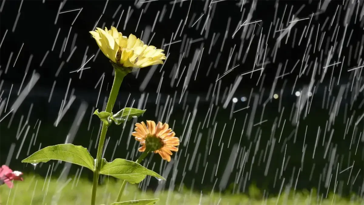 La actualización meteorológica revela que se descontinúan las alertas por precipitaciones.