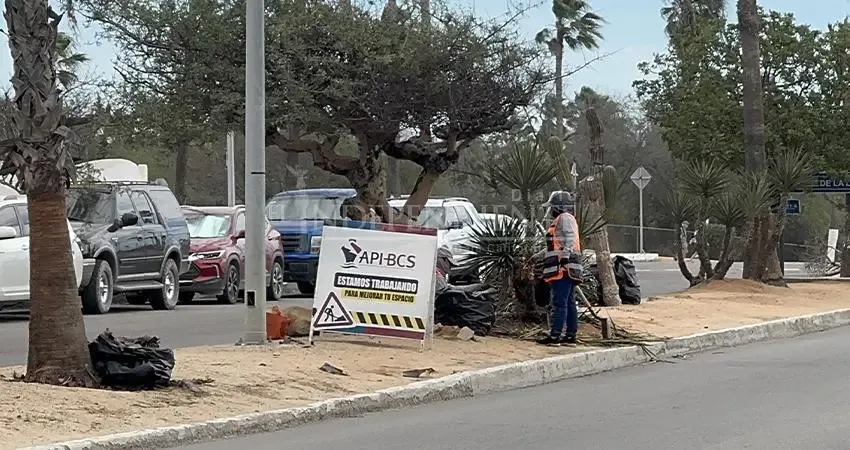 La Administración Portuaria Integral de BCS asume mejoras en Los Cabos.