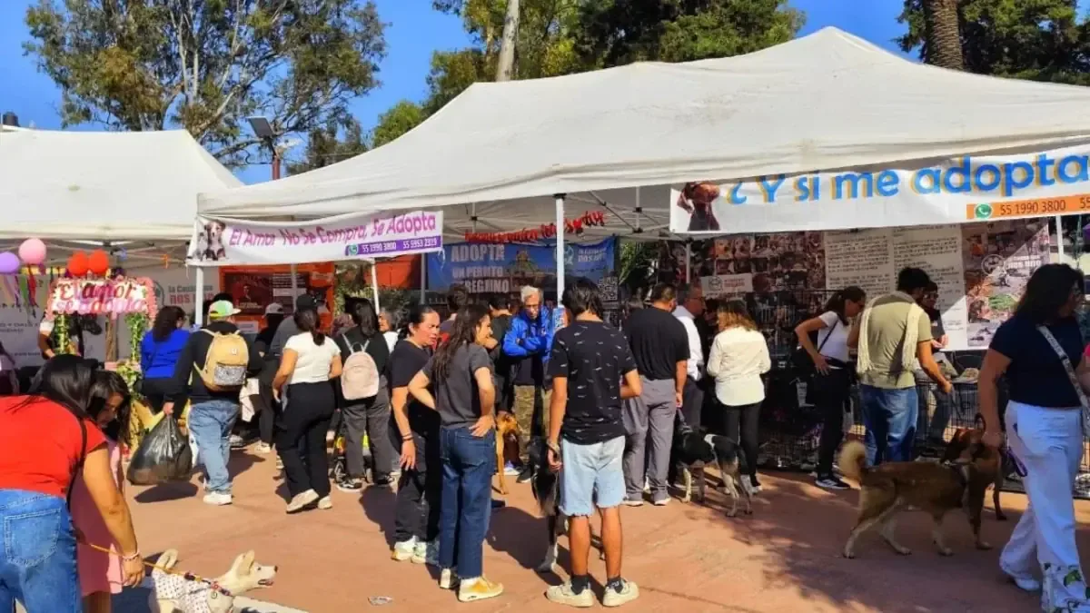 La Alcaldía Gustavo A. Madero promueve la adopción responsable con un evento exitoso.
