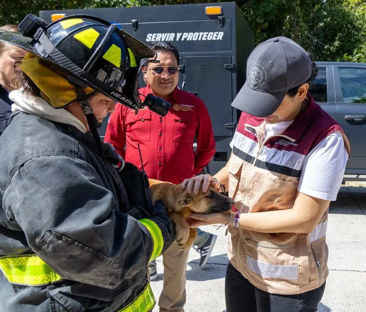 La alcaldesa Estefanía Mercado lidera operativo para proteger a los animales.