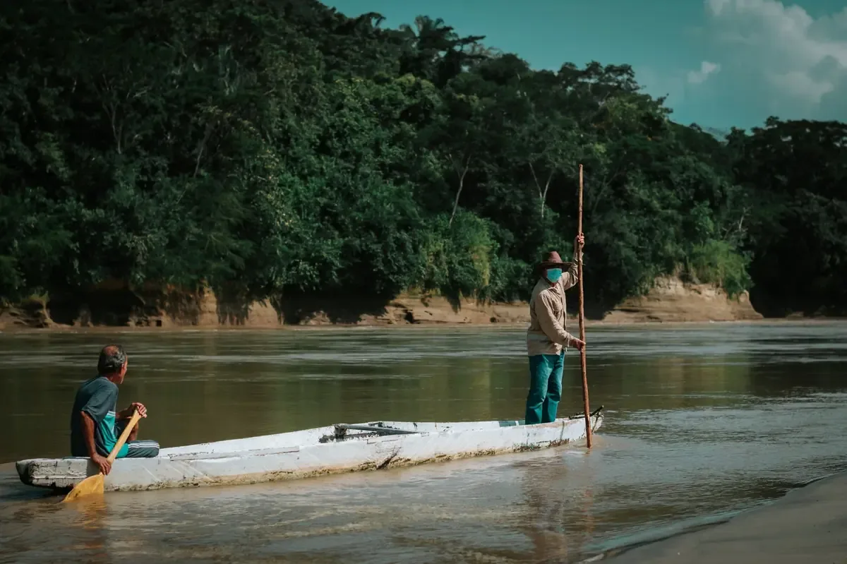 La biodiversidad amazónica juega un papel crucial en la lucha contra la inseguridad alimentaria y el cambio climático.