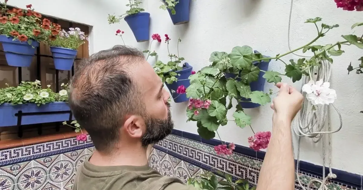 La apertura de los Patios de Córdoba muestra meses de esfuerzo y dedicación en el arte floral local.