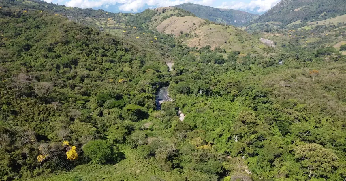 La anulación de la reserva en 'La Baja' genera acciones legales y reacciones encontradas entre mineros y ambientalistas.