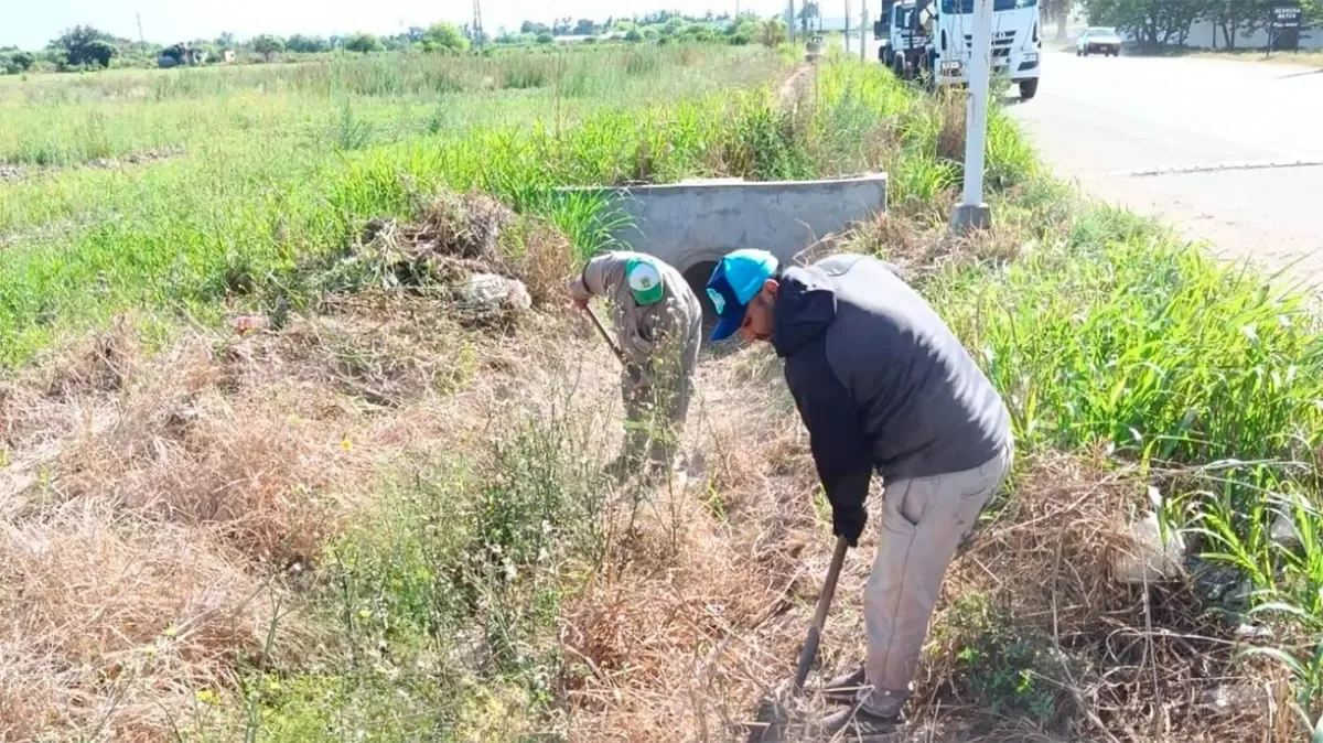 La limpieza de desagües busca mejorar el escurrimiento del agua de lluvia y prevenir anegamientos en la ciudad.