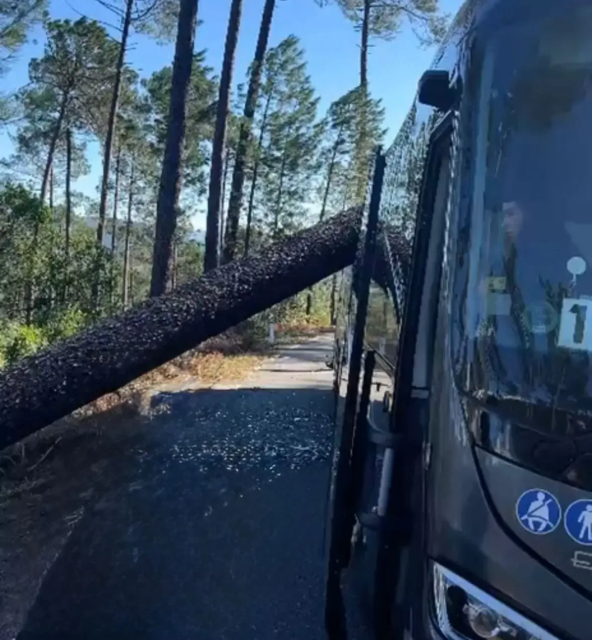 La caída de árboles causa daños a un autobús, pero no hay heridos.