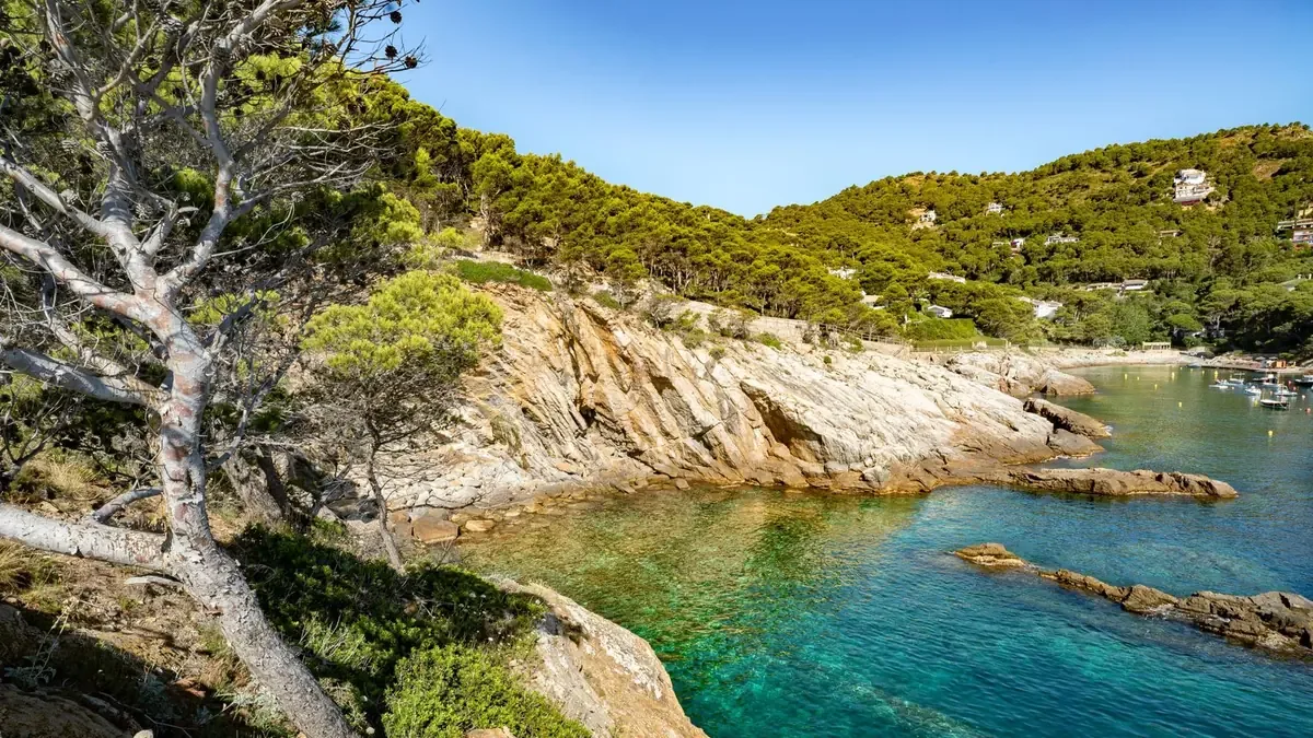 Este pequeño paraíso marino destaca por su belleza natural y aguas cristalinas, alejado del turismo masivo.