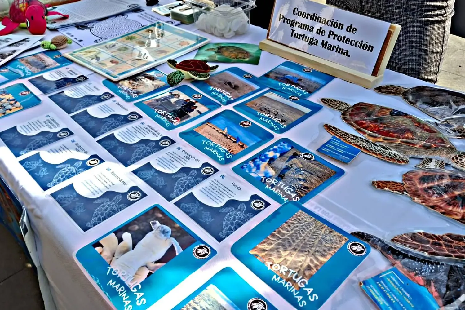 La ceremonia cívica por el Día Mundial de la Educación Ambiental en Los Cabos.