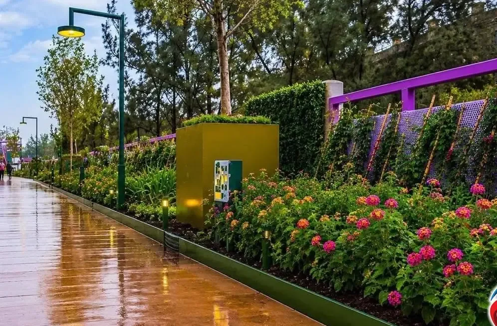 Expertos advierten sobre el riesgo de abandono de jardines y corredores florales.