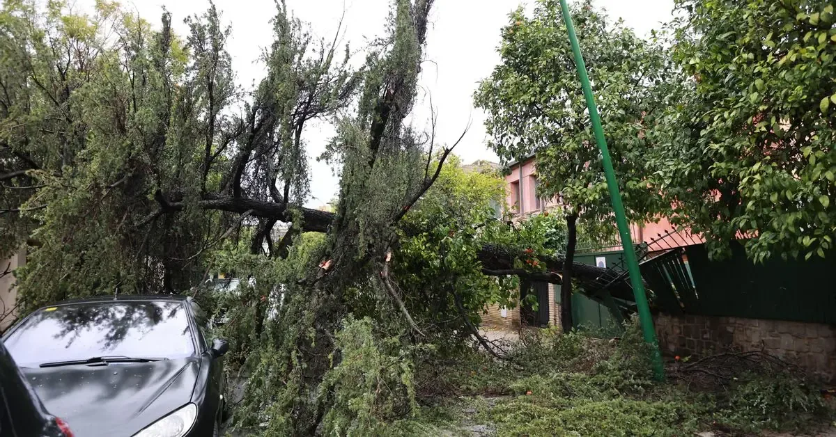 La ciudad se prepara ante fuertes lluvias y viento según las previsiones meteorológicas.