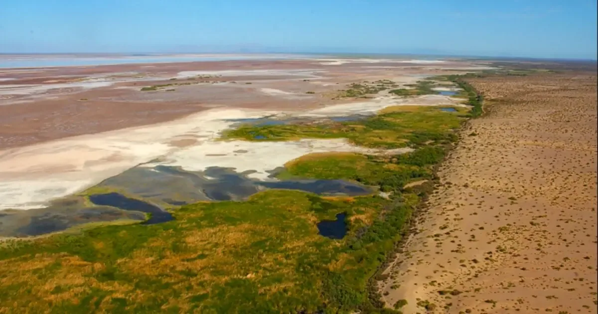 La colaboración binacional se centra en restaurar el ecosistema del delta y enfrentarse a la escasez de agua.