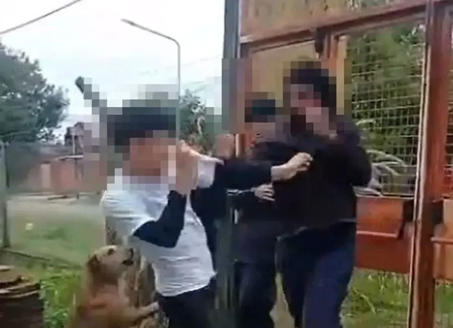La comunidad educativa enfrenta un creciente problema de violencia que requiere atención y colaboración conjunta.